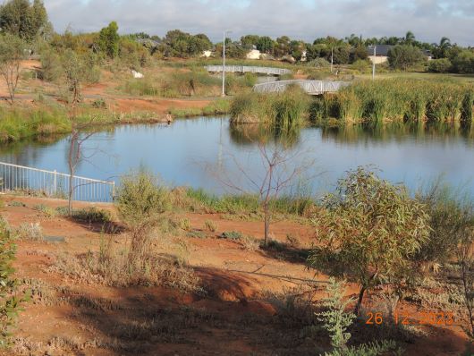 Wetlands full